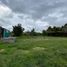  Terreno (Parcela) en venta en San Gregorio Atzompa, Puebla, San Gregorio Atzompa
