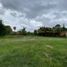  Terreno (Parcela) en venta en San Gregorio Atzompa, Puebla, San Gregorio Atzompa