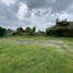  Terreno (Parcela) en venta en San Gregorio Atzompa, Puebla, San Gregorio Atzompa
