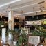 在Yucatan出售的10 卧室 屋, Merida, Yucatan