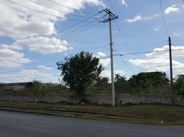  Terreno (Parcela) en venta en Merida, Yucatán, Merida