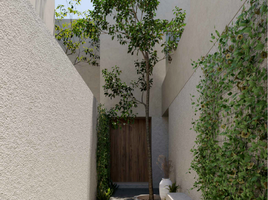 Maison 3 chambre à vendre à Merida, Yucatan, Merida