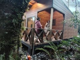 3 Schlafzimmer Haus zu verkaufen in Llanquihue, Los Lagos, Puerto Montt