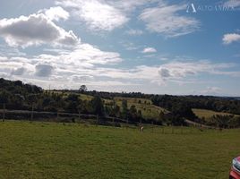  Terreno (Parcela) en venta en Chiloé, Los Lagos, Castro, Chiloé