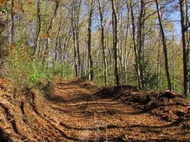  Terreno (Parcela) en venta en Molina, Curicó, Molina