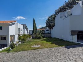  Terrain for sale in Jalisco, Zapopan, Jalisco