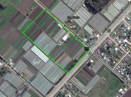  Land for sale in La Plata, Buenos Aires, La Plata