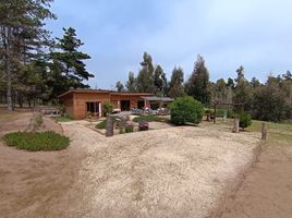 2 Schlafzimmer Haus zu verkaufen in Petorca, Valparaiso, La Ligua