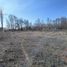  Land for sale in Confluencia, Neuquen, Confluencia