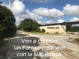 在Progreso, Yucatan出售的 土地, Progreso