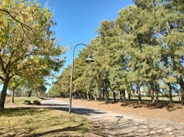  Terreno (Parcela) en venta en Campana, Buenos Aires, Campana