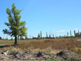  Terreno (Parcela) en venta en Rio Negro, General Roca, Rio Negro