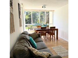 Estudio Apartamento en venta en Valparaíso, Zapallar, Petorca, Valparaíso