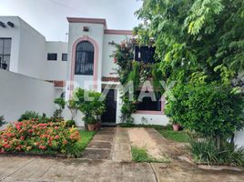0 平米 Office for rent in Quintana Roo, Cancun, Quintana Roo