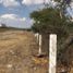  Land for sale in Doctor Arroyo, Nuevo Leon, Doctor Arroyo