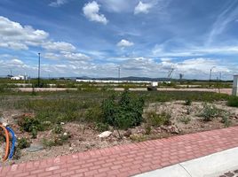 Terrain à vendre à Apaseo El Grande, Guanajuato, Apaseo El Grande