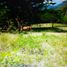  Land for sale in Salgar, Antioquia, Salgar