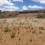  Land for sale in Catorce, San Luis Potosi, Catorce