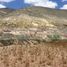  Land for sale in Catorce, San Luis Potosi, Catorce