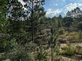  Terreno (Parcela) en venta en Santa Maria, Cordobá, Santa Maria