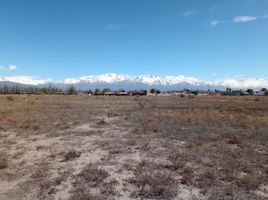  Terrain for sale in San Carlos, Mendoza, San Carlos