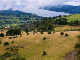  Terreno (Parcela) en venta en Sesquile, Cundinamarca, Sesquile