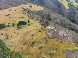  Grundstück zu verkaufen in Sesquile, Cundinamarca, Sesquile