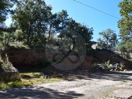  토지을(를) Amealco De Bonfin, Queretaro에서 판매합니다., Amealco De Bonfin