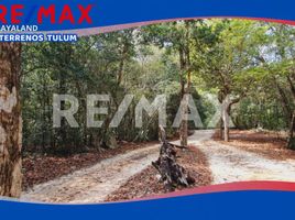 Land for sale in Cozumel, Quintana Roo, Cozumel