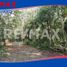  Land for sale in Cozumel, Quintana Roo, Cozumel