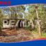  Land for sale in Cozumel, Quintana Roo, Cozumel
