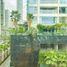 Studio Villa for rent in Isla Grande, Colon, Isla Grande, Portobelo, Colon