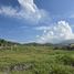  Land for sale in Aquila, Michoacan, Aquila