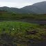  Land for sale in Aquila, Michoacan, Aquila