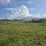  Land for sale in Aquila, Michoacan, Aquila