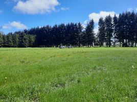  Terreno (Parcela) en venta en Frutillar, Llanquihue, Frutillar