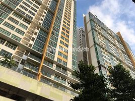 4 Phòng ngủ Biệt thự for rent in Pháp viện Minh Đăng Quang, An Phú, An Phú