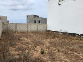  Grundstück zu verkaufen in Tijuana, Baja California, Tijuana