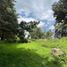  Grundstück zu verkaufen in Tenango Del Aire, Mexico, Tenango Del Aire
