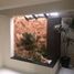 2 Schlafzimmer Appartement zu verkaufen in Monterrey, Nuevo Leon, Monterrey, Nuevo Leon