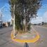  Land for rent in Guadalupe, Nuevo Leon, Guadalupe