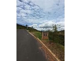  Land for sale in La Ceja, Antioquia, La Ceja