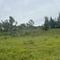  Land for sale in Rionegro, Antioquia, Rionegro