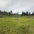  Land for sale in Rionegro, Antioquia, Rionegro