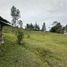  Land for sale in Rionegro, Antioquia, Rionegro