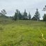  Land for sale in Rionegro, Antioquia, Rionegro