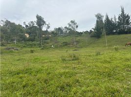  Terreno (Parcela) en venta en Rionegro, Antioquia, Rionegro