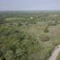  Land for rent in Alto Lucero De Gutierrez Barrios, Veracruz, Alto Lucero De Gutierrez Barrios