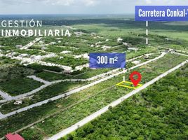  Terreno (Parcela) en venta en Yaxkukul, Yucatán, Yaxkukul