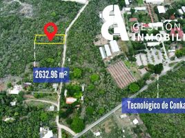  Grundstück zu verkaufen in Yaxkukul, Yucatan, Yaxkukul